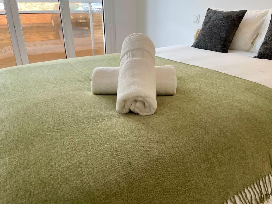 Appartement 73M2 - 2 Chambres - Parking - Wi-Fi Toulouse Kültér fotó