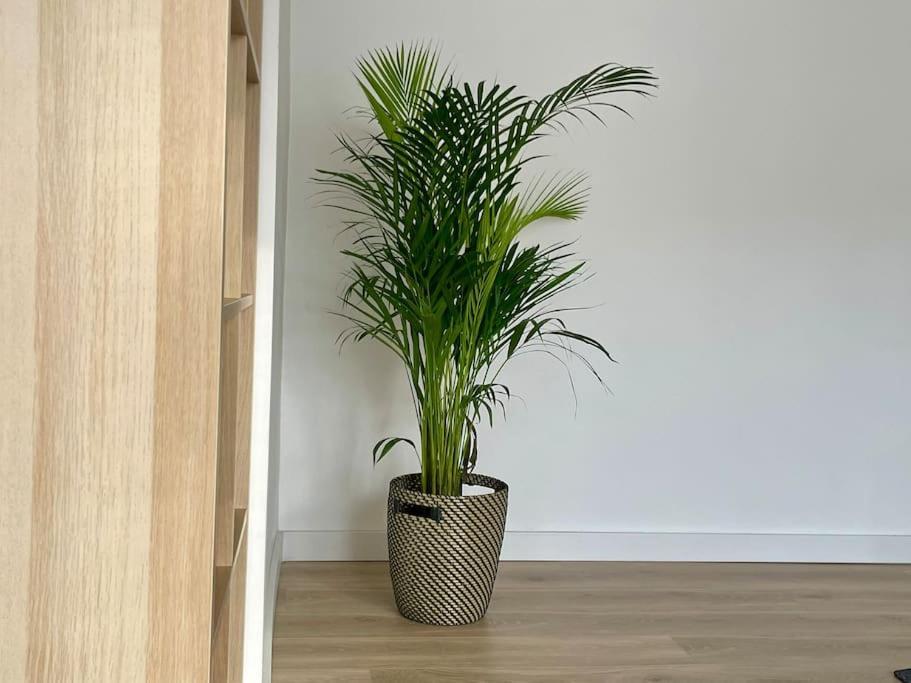 Appartement 73M2 - 2 Chambres - Parking - Wi-Fi Toulouse Kültér fotó
